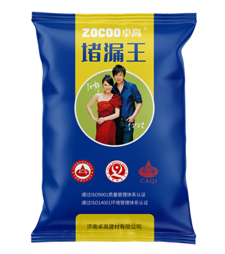 堵漏王